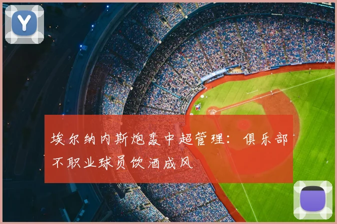 埃尔纳内斯炮轰中超管理：俱乐部不职业球员饮酒成风
