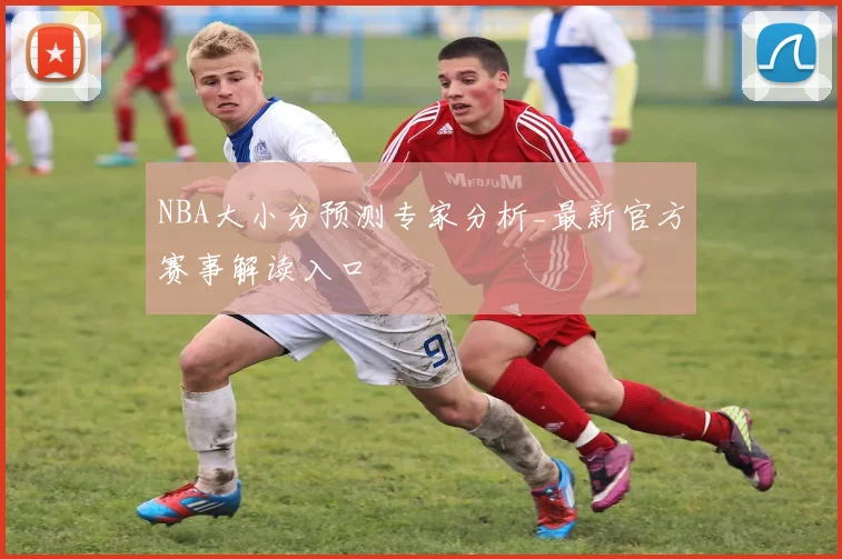NBA大小分预测专家分析_最新官方赛事解读入口